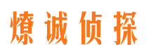 花山市调查公司